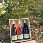 Bouteille de vin dans une boîte en bois au milieu des vignes