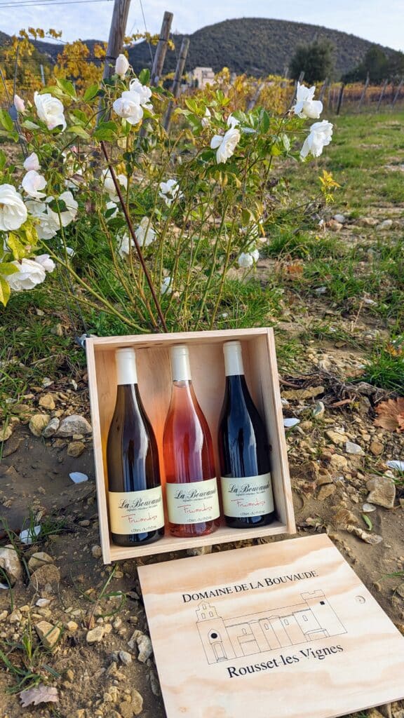 Bouteille de vin dans une boîte en bois au milieu des vignes