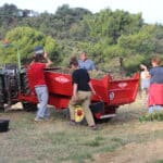 Vendangeurs versant des seaux de raisin dans la benne d'un tracteur